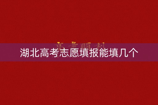 湖北高考志愿填报能填几个