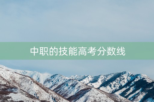 中职的技能高考分数线