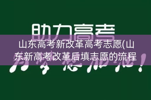 山东高考新改革高考志愿(山东新高考改革后填志愿的流程？)