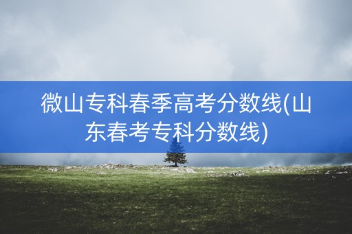 微山专科春季高考分数线(山东春考专科分数线)