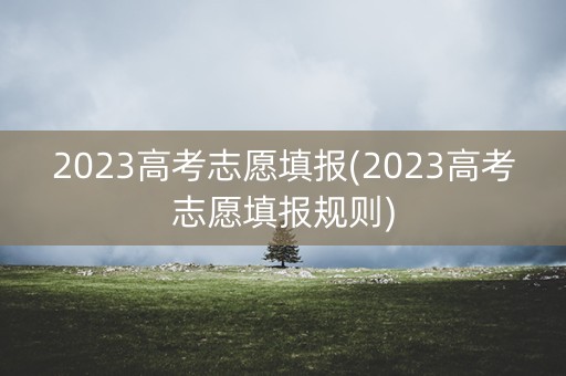 2023高考志愿填报(2023高考志愿填报规则)