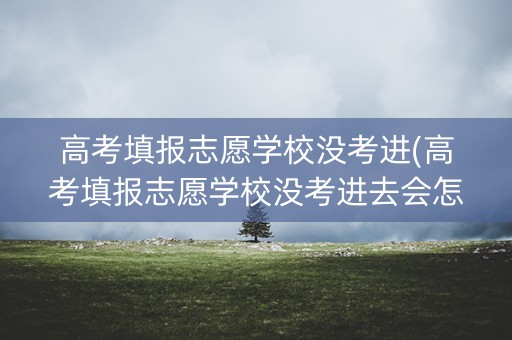 高考填报志愿学校没考进(高考填报志愿学校没考进去会怎样)