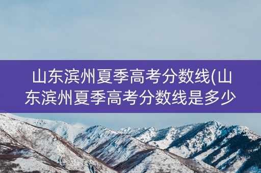 山东滨州夏季高考分数线(山东滨州夏季高考分数线是多少)