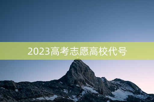 2023高考志愿高校代号