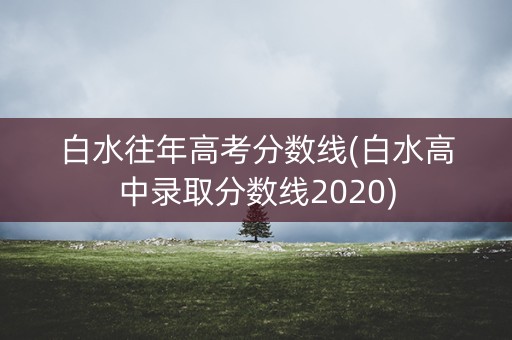 白水往年高考分数线(白水高中录取分数线2020)
