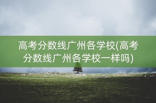 高考分数线广州各学校(高考分数线广州各学校一样吗)