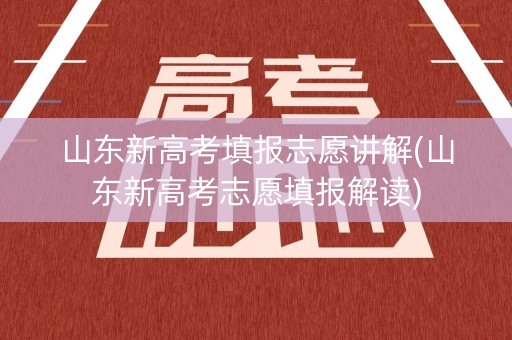 山东新高考填报志愿讲解(山东新高考志愿填报解读)