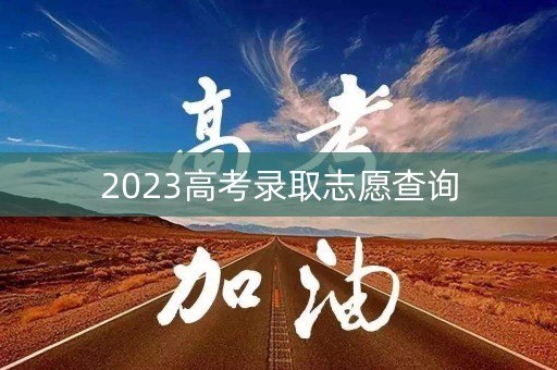 2023高考录取志愿查询