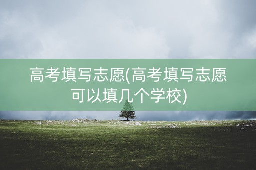 高考填写志愿(高考填写志愿可以填几个学校)