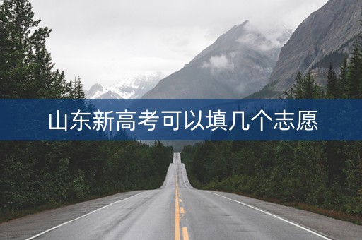 山东新高考可以填几个志愿