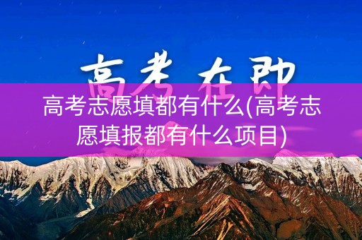 高考志愿填都有什么(高考志愿填报都有什么项目)