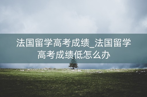 法国留学高考成绩_法国留学高考成绩低怎么办