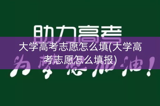 大学高考志愿怎么填(大学高考志愿怎么填报)