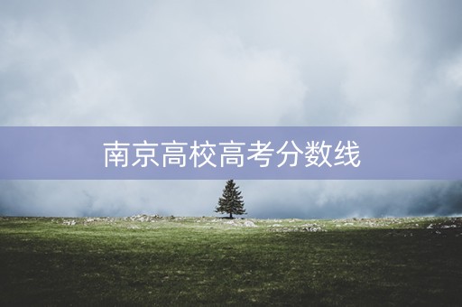 南京高校高考分数线