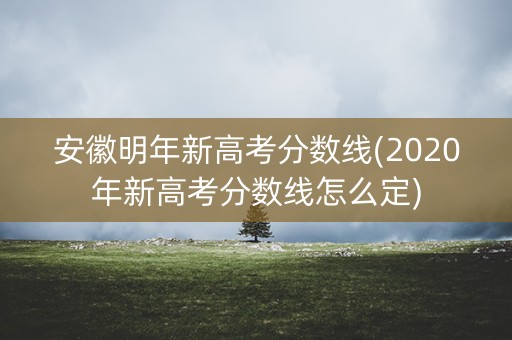 安徽明年新高考分数线(2020年新高考分数线怎么定)