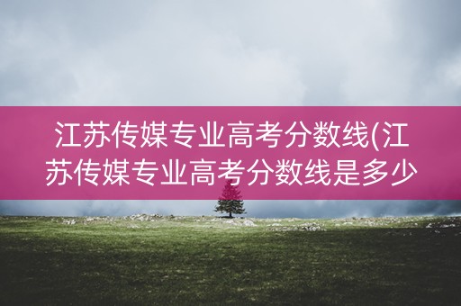 江苏传媒专业高考分数线(江苏传媒专业高考分数线是多少)