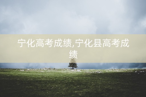 宁化高考成绩,宁化县高考成绩