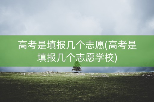 高考是填报几个志愿(高考是填报几个志愿学校)