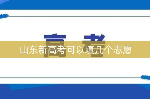 山东新高考可以填几个志愿