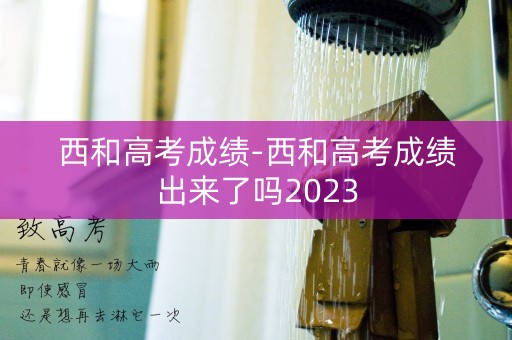 西和高考成绩-西和高考成绩出来了吗2023