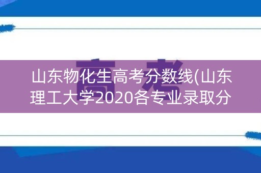 山东物化生高考分数线(山东理工大学2020各专业录取分数线)