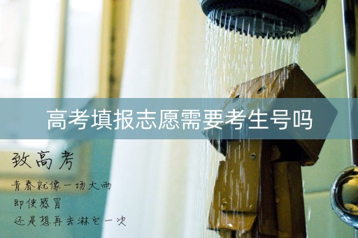 高考填报志愿需要考生号吗
