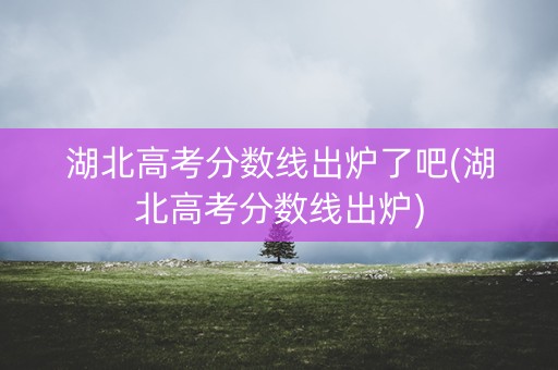 湖北高考分数线出炉了吧(湖北高考分数线出炉)
