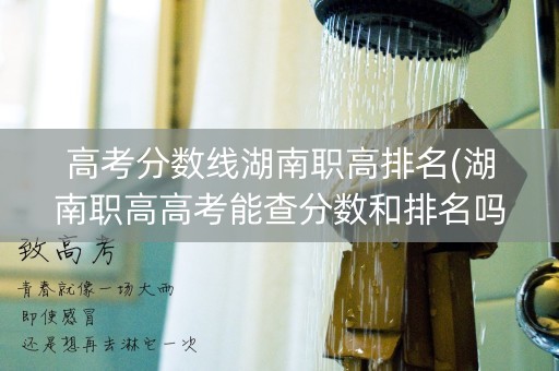 高考分数线湖南职高排名(湖南职高高考能查分数和排名吗)