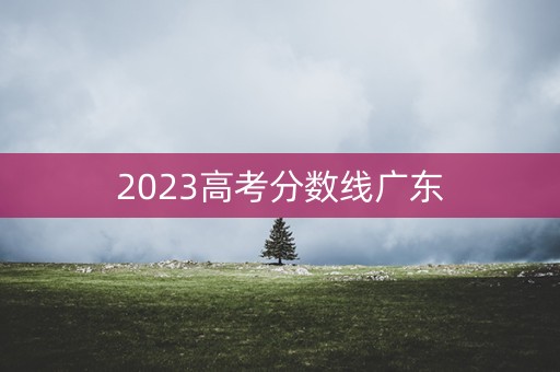 2023高考分数线广东