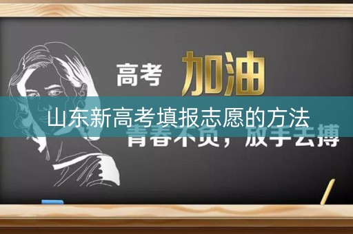 山东新高考填报志愿的方法