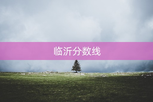临沂分数线