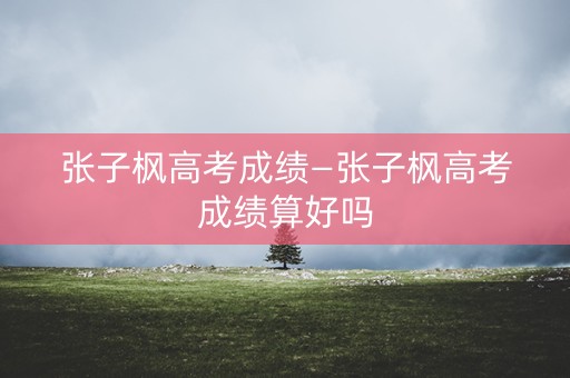 张子枫高考成绩—张子枫高考成绩算好吗