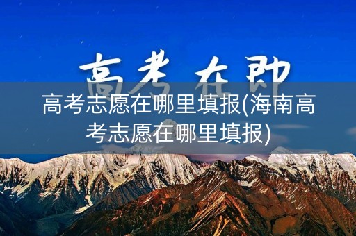 高考志愿在哪里填报(海南高考志愿在哪里填报)