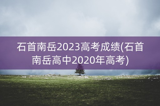石首南岳2023高考成绩(石首南岳高中2020年高考)