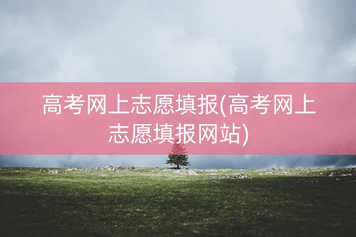 高考网上志愿填报(高考网上志愿填报网站)