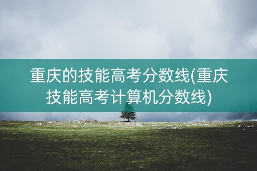 重庆的技能高考分数线(重庆技能高考计算机分数线)