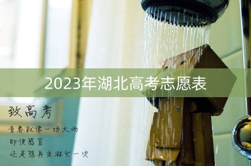 2023年湖北高考志愿表
