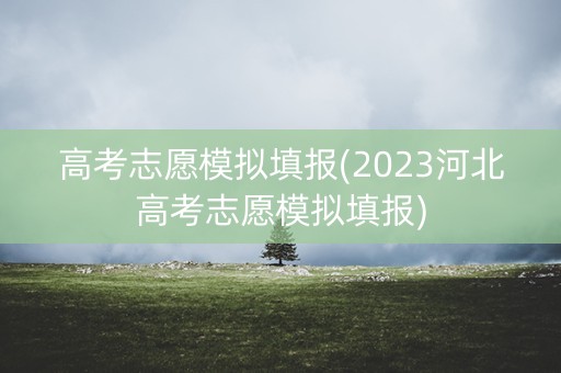 高考志愿模拟填报(2023河北高考志愿模拟填报)