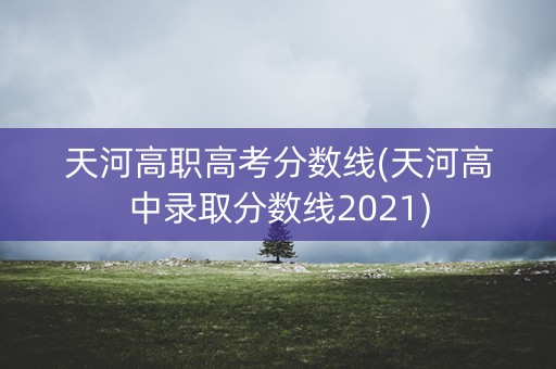 天河高职高考分数线(天河高中录取分数线2021)