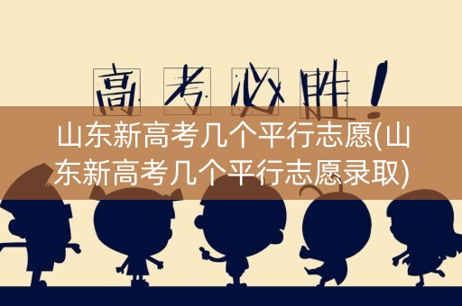 山东新高考几个平行志愿(山东新高考几个平行志愿录取)