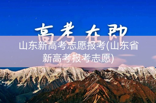 山东新高考志愿报考(山东省新高考报考志愿)