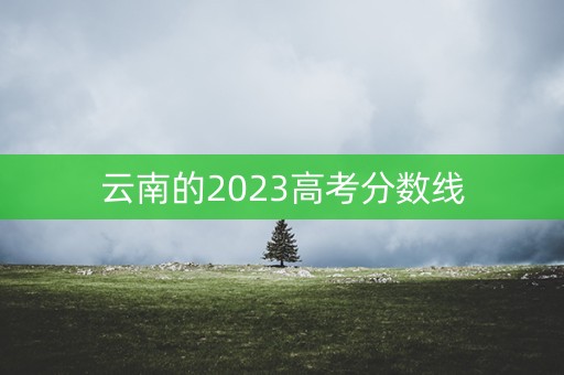 云南的2023高考分数线