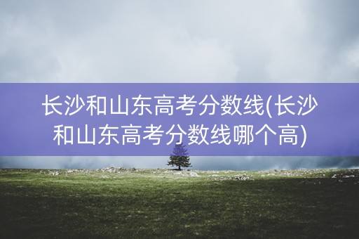 长沙和山东高考分数线(长沙和山东高考分数线哪个高)