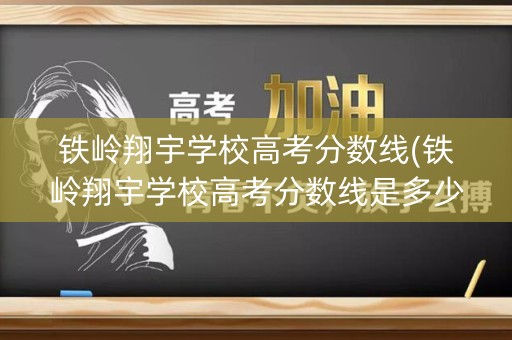 铁岭翔宇学校高考分数线(铁岭翔宇学校高考分数线是多少)
