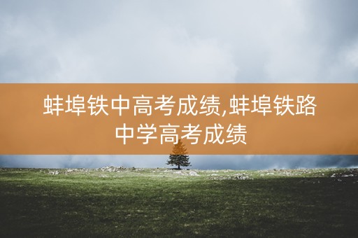 蚌埠铁中高考成绩,蚌埠铁路中学高考成绩