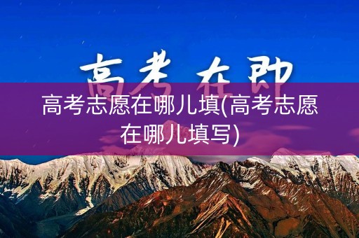 高考志愿在哪儿填(高考志愿在哪儿填写)