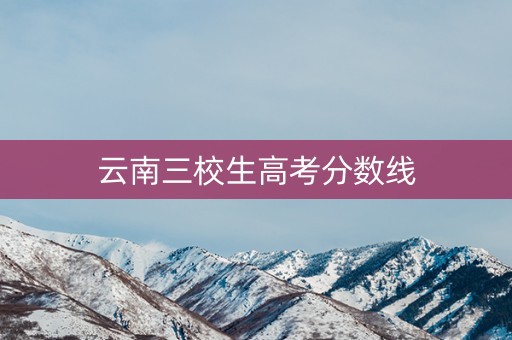 云南三校生高考分数线