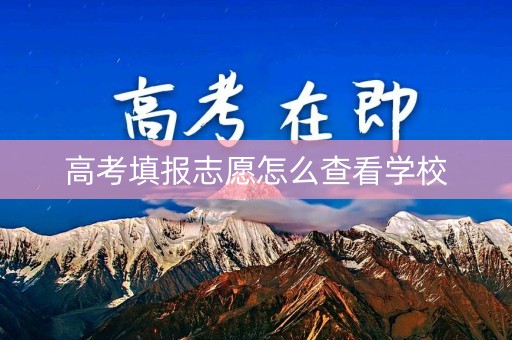 高考填报志愿怎么查看学校