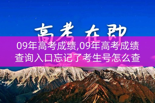 09年高考成绩,09年高考成绩查询入口忘记了考生号怎么查