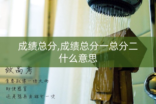 成绩总分,成绩总分一总分二什么意思
